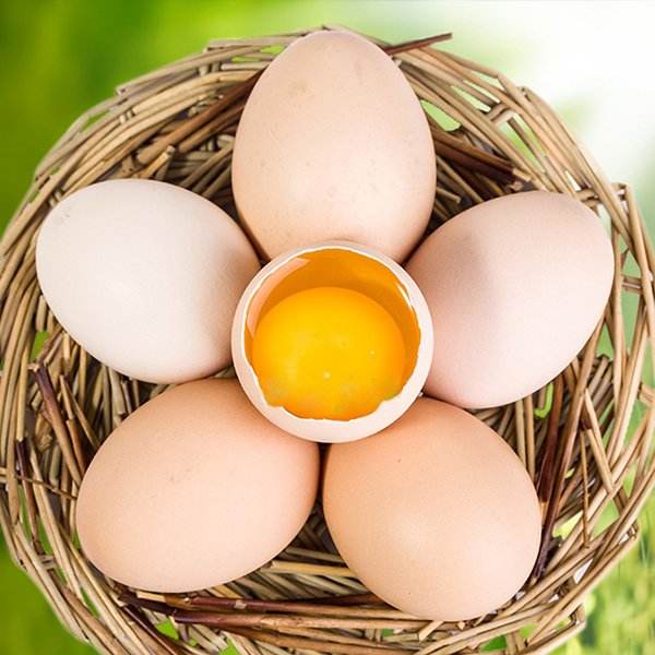 <b>農(nóng)家(jiā)土(tǔ)雞蛋</b>