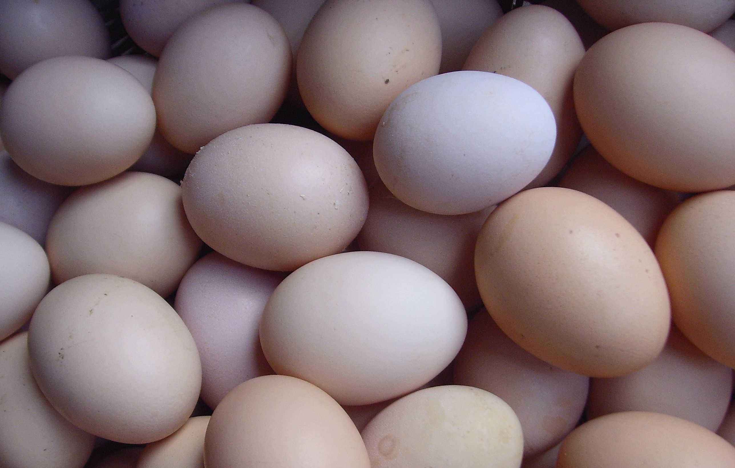 農(nóng)家(jiā)土(tǔ)雞蛋