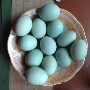 青殼土(tǔ)雞蛋
